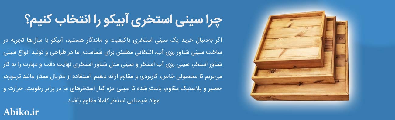 سینی شناور استخر