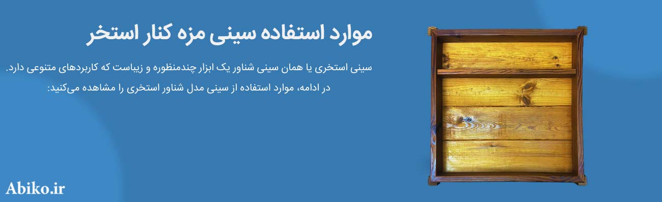 سینی شناور استخری